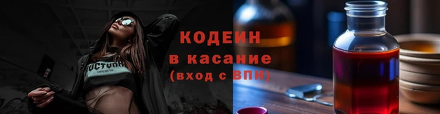 шишки Богородицк